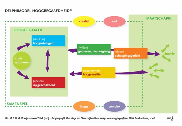 Kenmerken van hoogbegaafdheid volgens het Delphi-model.